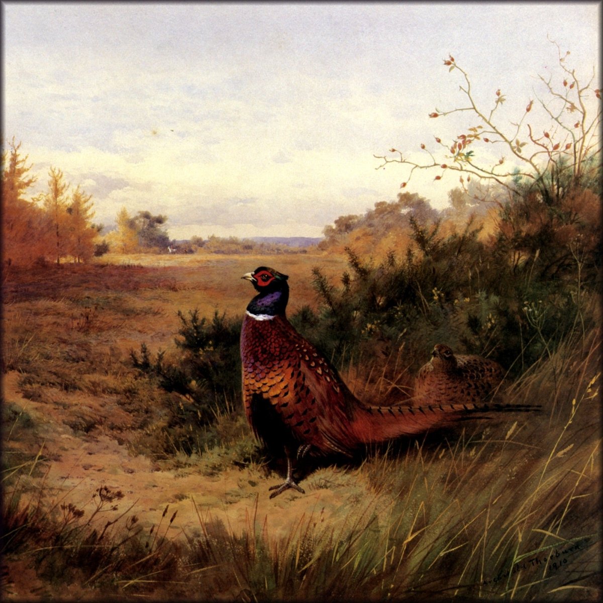 Digital Download - 1 image