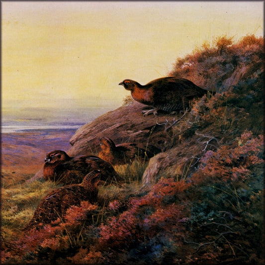 Digital Download - 1 image