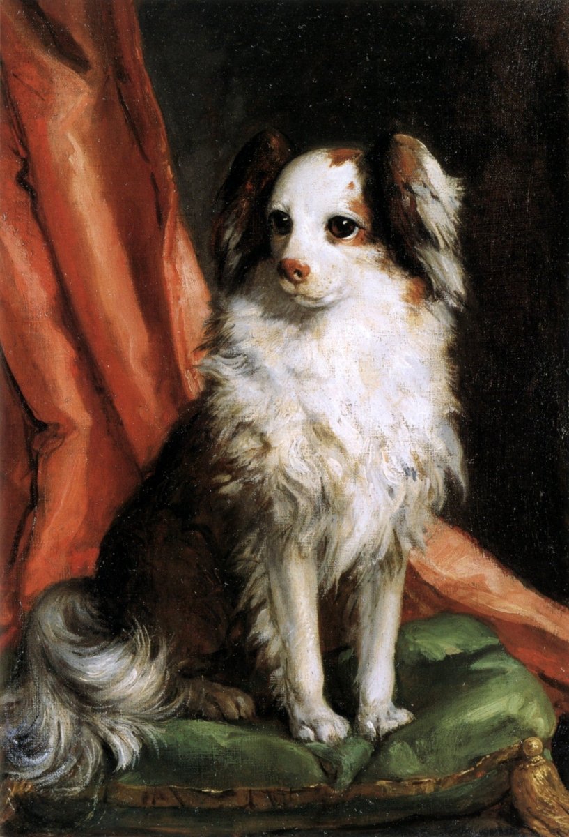 Dimensions 4048 x 5944 pixels