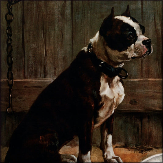 Digital Download - 1 image