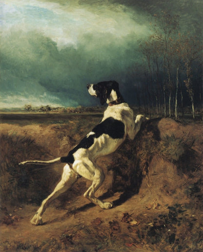 Dimensions 4480 x 5552 pixels