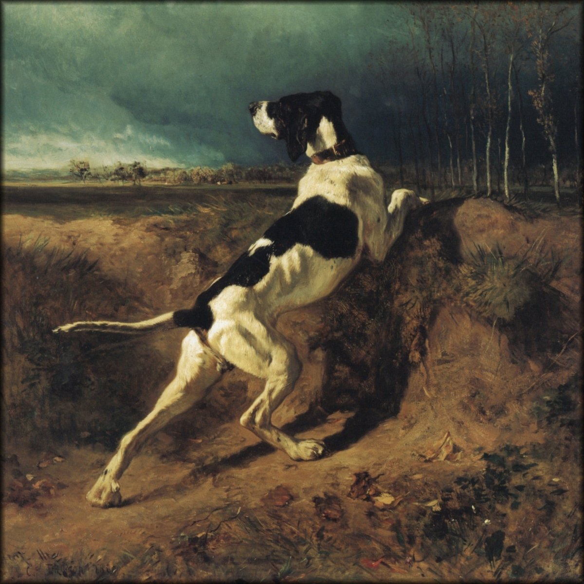 Digital Download - 1 image