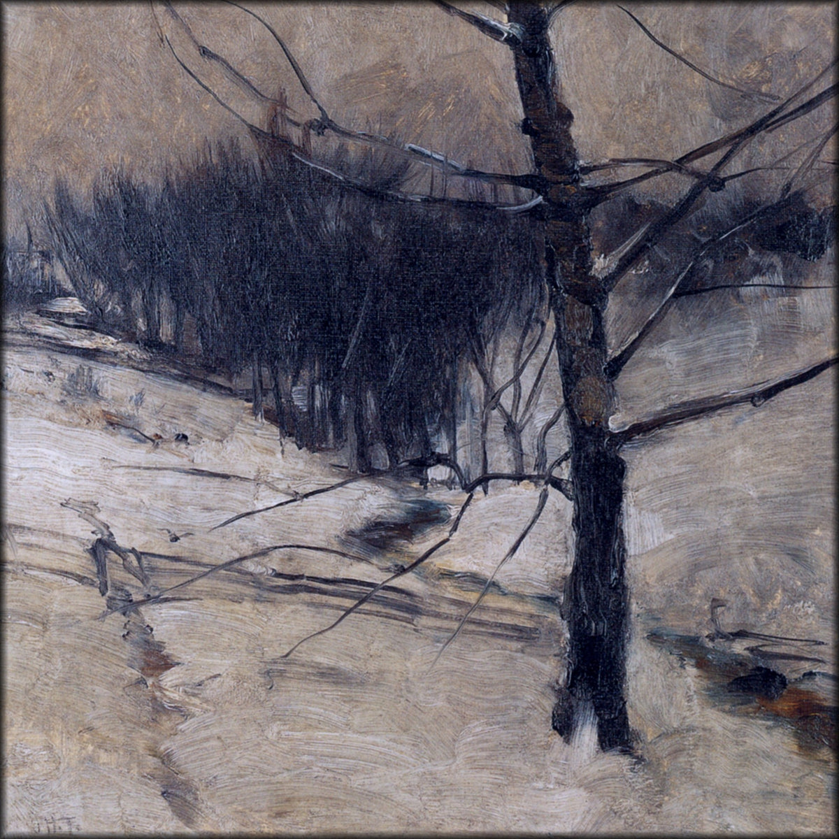 Digital Download - 2 images