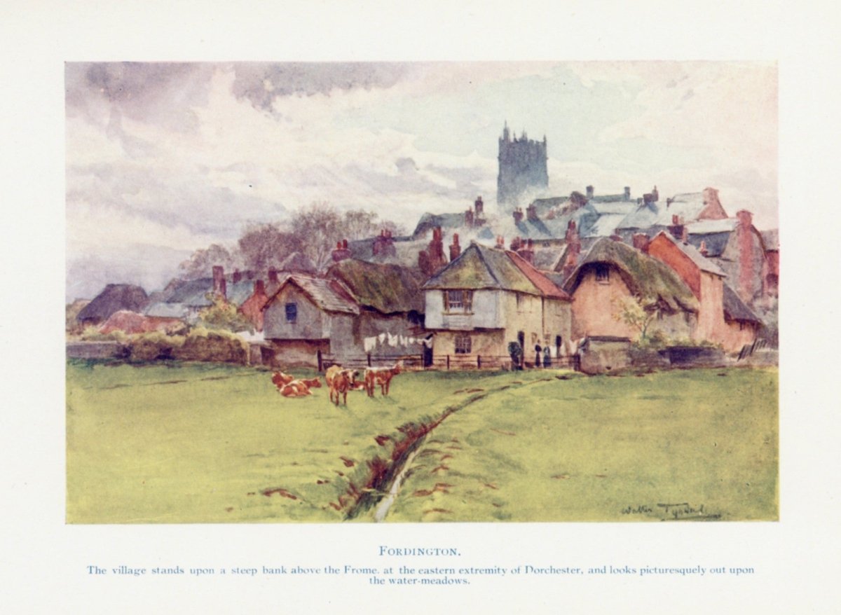 Dimensions 4116 x 3010 pixels