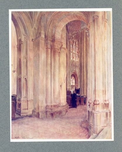 Dimensions 3110 x 3850 pixels