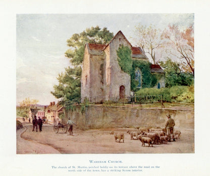 Dimensions 3906 x 3269 pixels