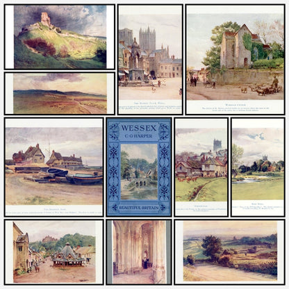 A snapshot of some of the images