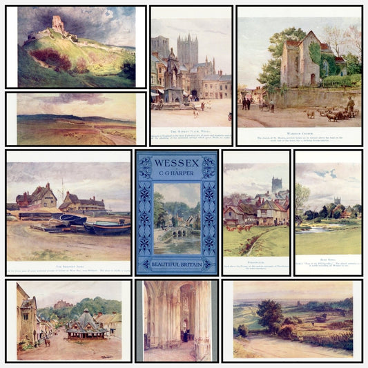 A snapshot of some of the images