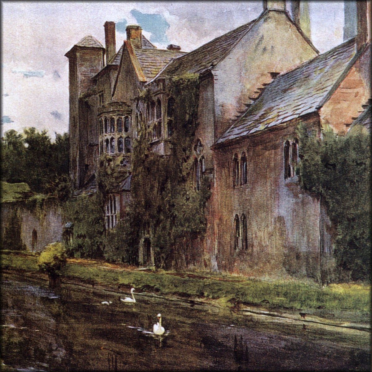 Digital Download - 1 image