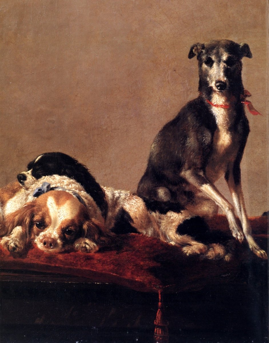 Dimensions 5336 x 6808 pixels