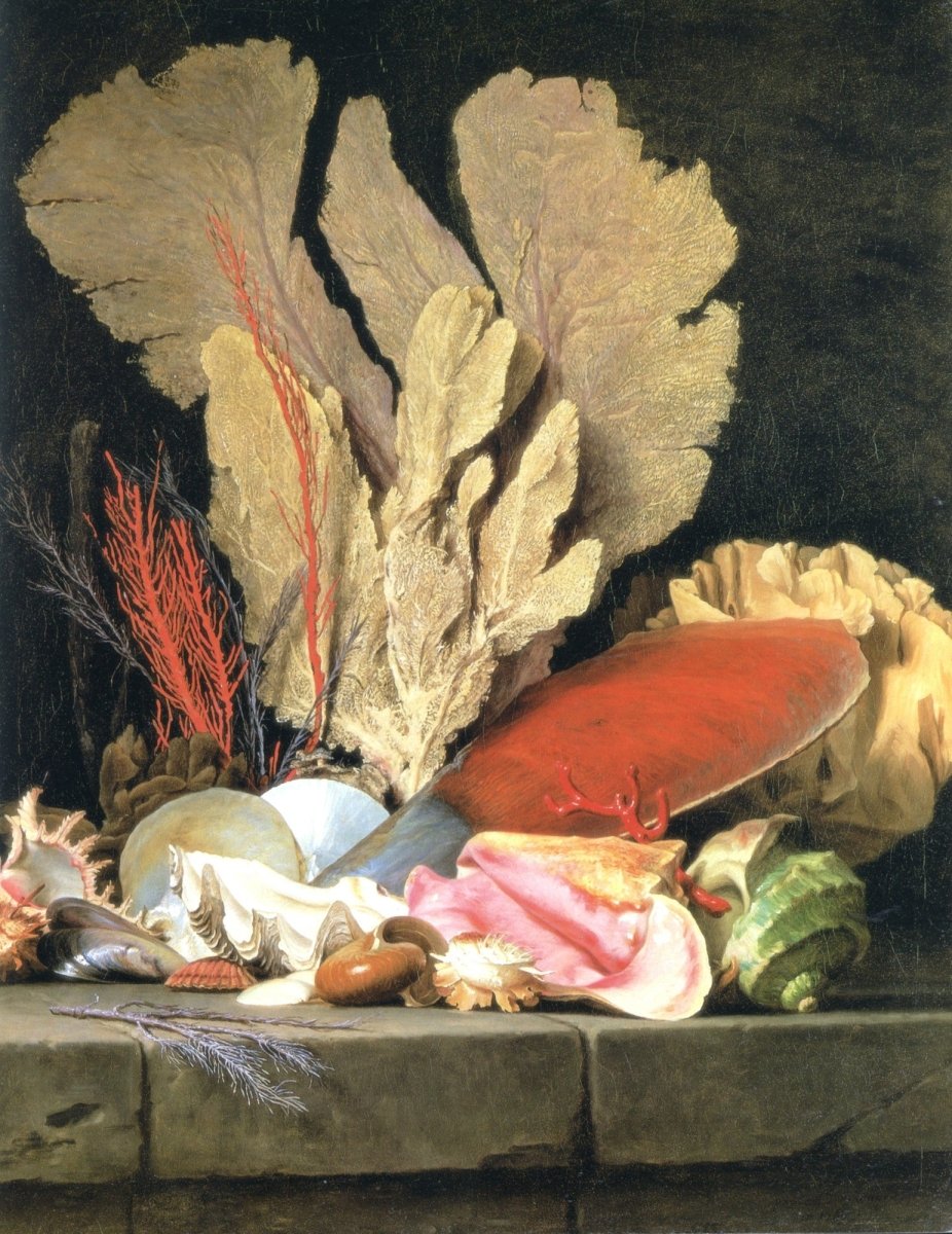 Dimensions 5430 x 7040 pixels