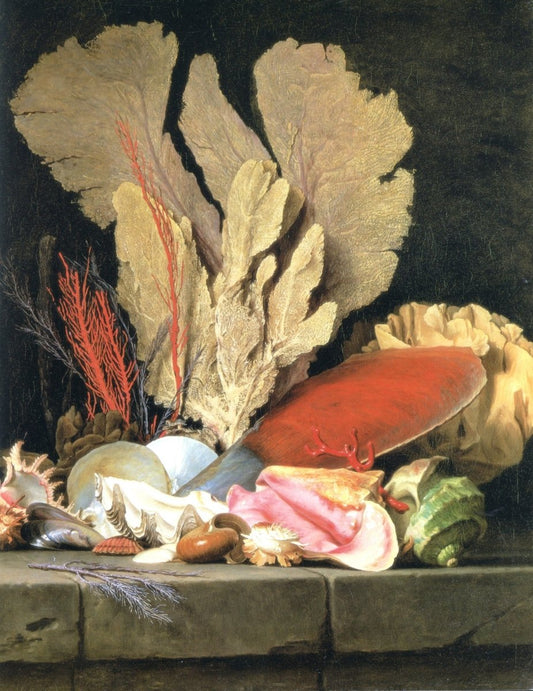 Dimensions 5430 x 7040 pixels