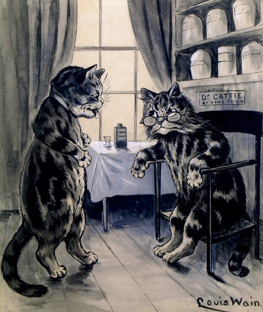 Dimensions 5067 x 6003 pixels