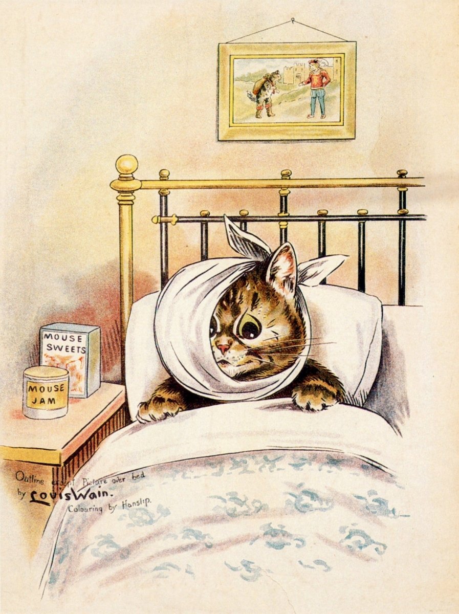 Dimensions 3504 x 4688 pixels