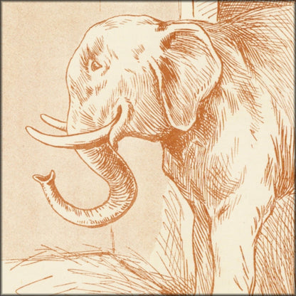 Digital Download - 1 image