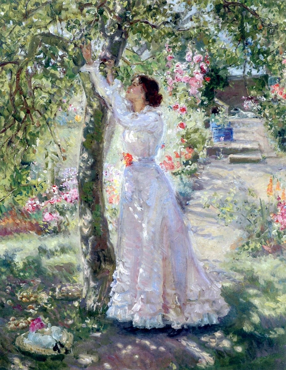 Dimensions 3904 x 5040 pixels