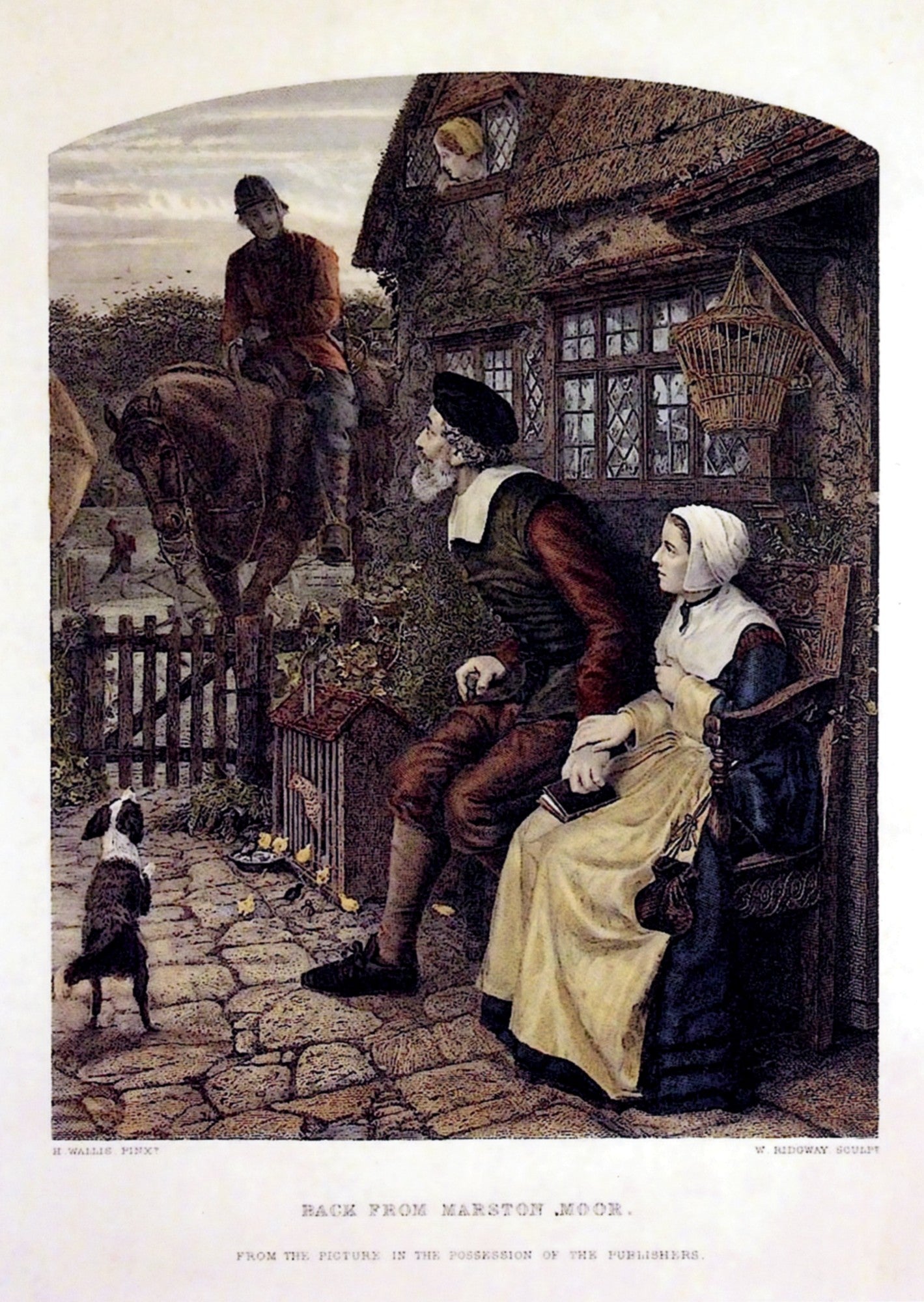 Dimensions 4554 x 6417 pixels