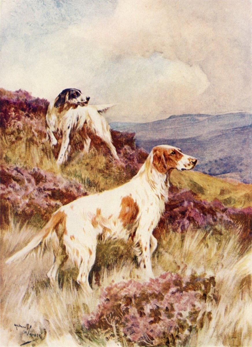 Dimensions 3474 x 4782 pixels