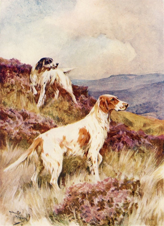 Dimensions 3474 x 4782 pixels