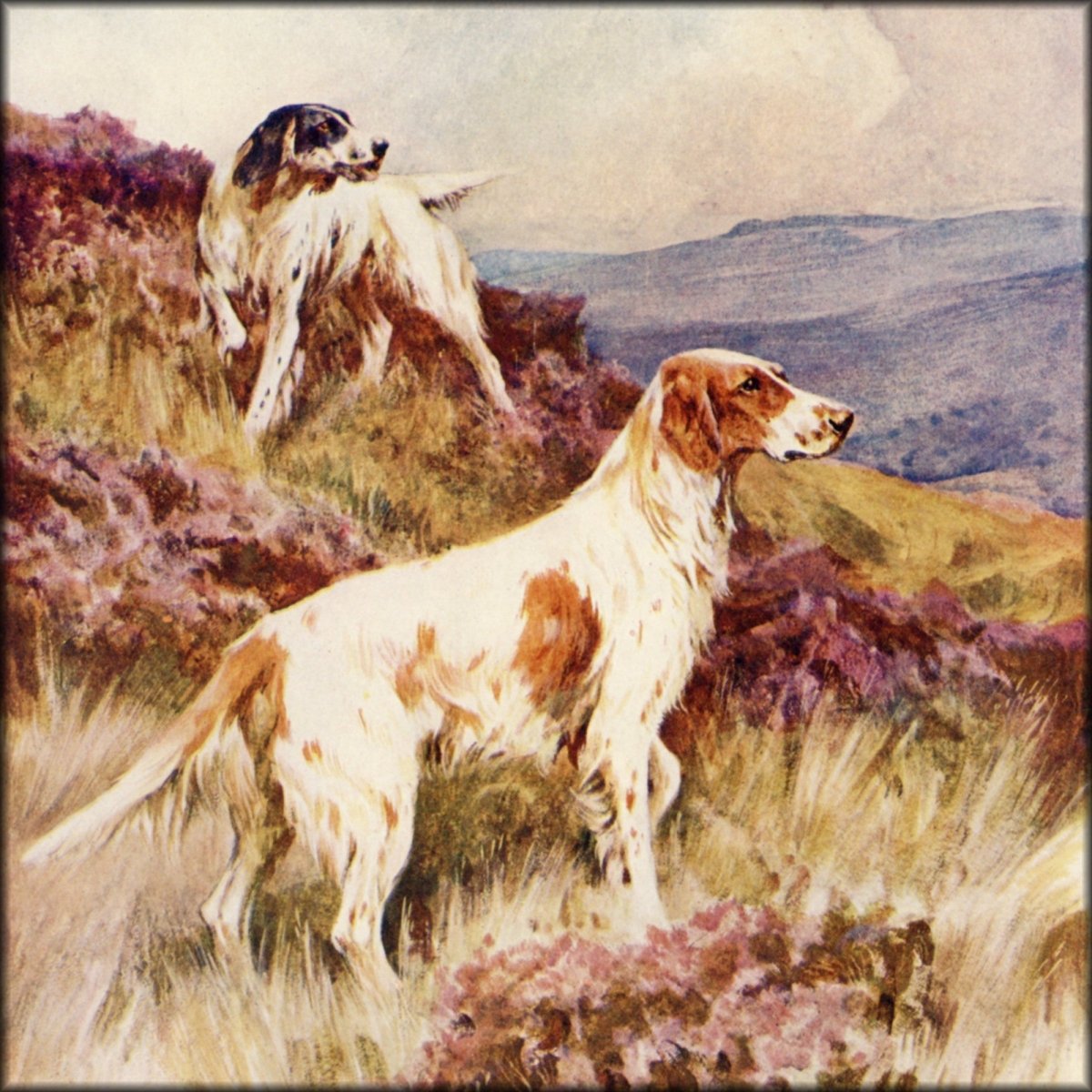 Digital Download - 1 image