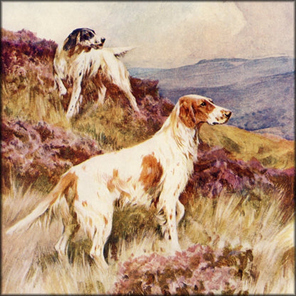 Digital Download - 1 image