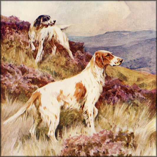 Digital Download - 1 image