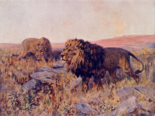 Dimensions 4790 x 3575 pixels