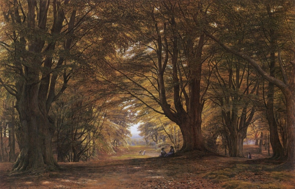 Dimensions 5159 x 3311 pixels