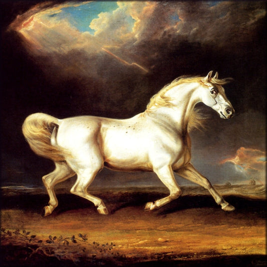 Digital Download - 1 image