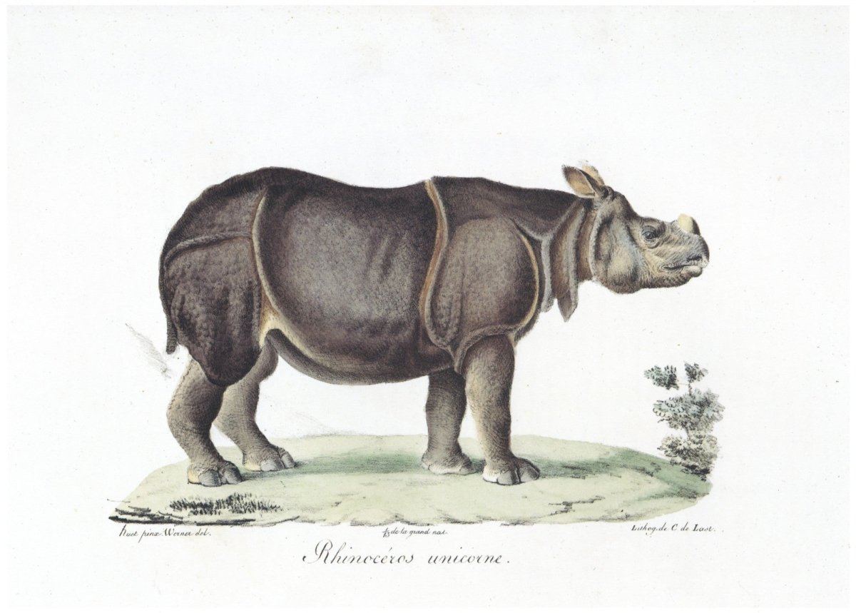 Dimensions 7456 x 5336 pixels