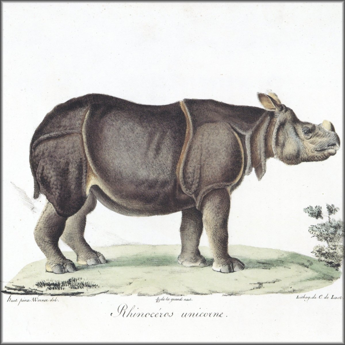 Digital Download - 1 image