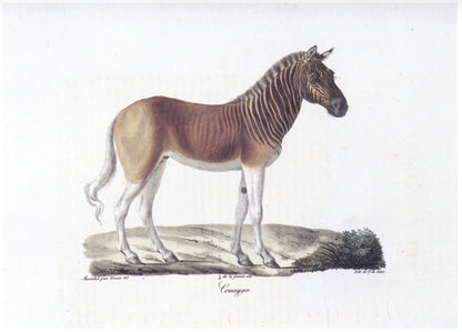 Dimensions 7256 x 5216 pixels