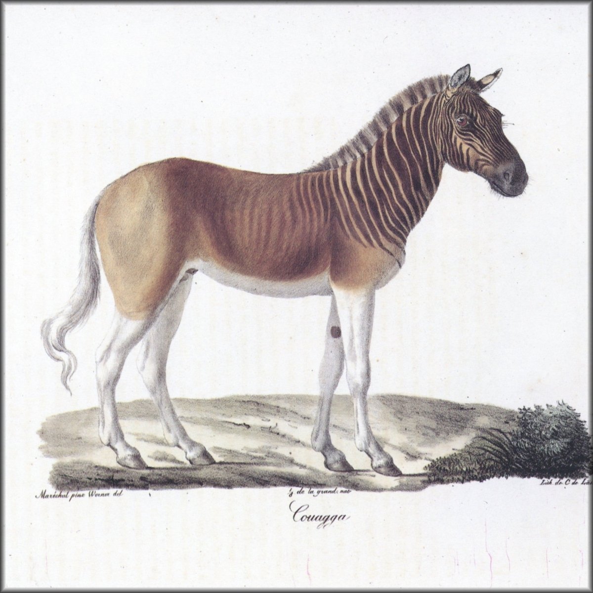 Digital Download - 1 image