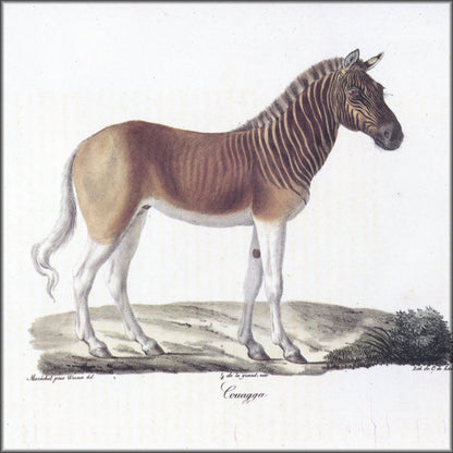 Digital Download - 1 image