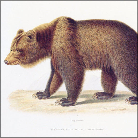 Digital Download - 1 image