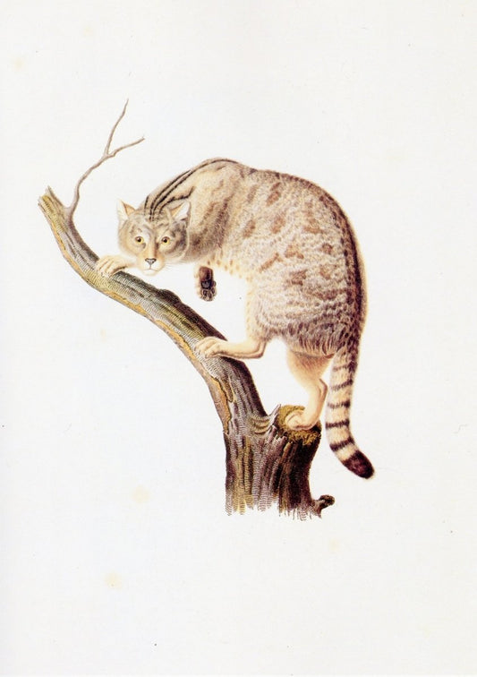 Dimensions 5100 x 7236 pixels