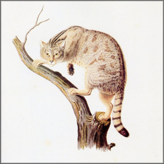 Digital Download - 1 image