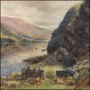 Leinster 1911 - Alexander Williams (1846-1930) - 12 images