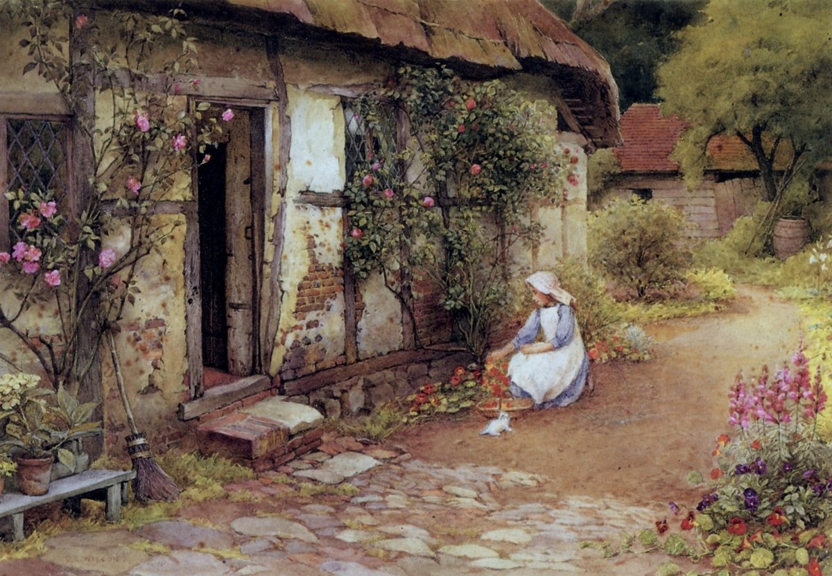 Dimensions 4392 x 3042 pixels