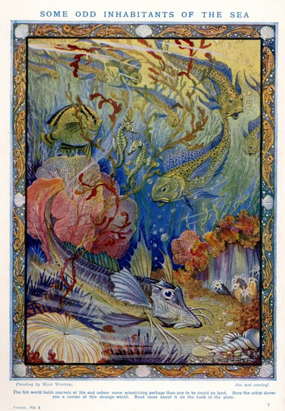 Dimensions 3870 x 5571 pixels