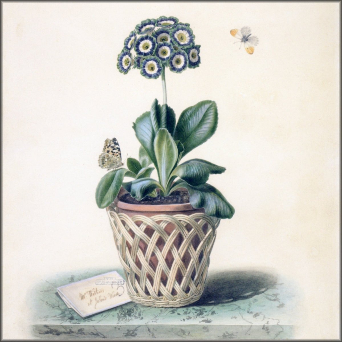 Digital Download - 1 image