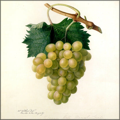 Digital Download - 1 image