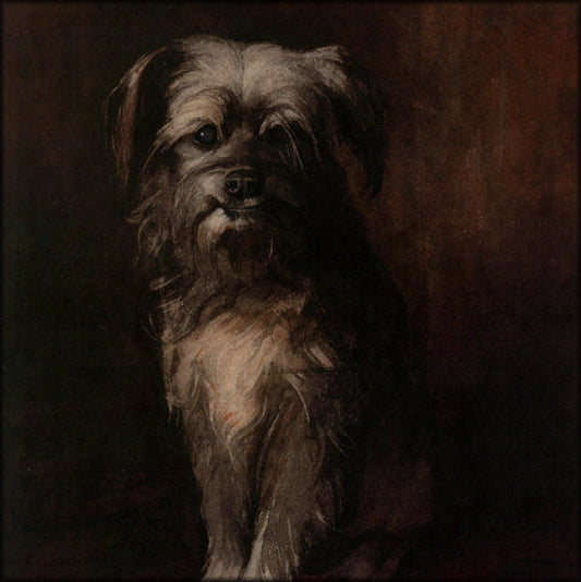 Digital Download - 1 image