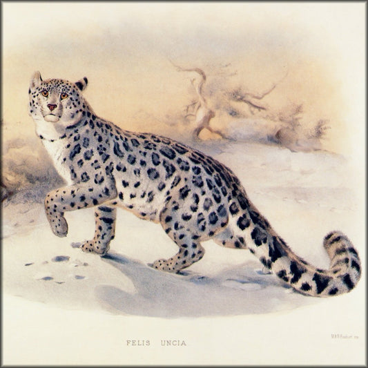 Digital Download - 1 image