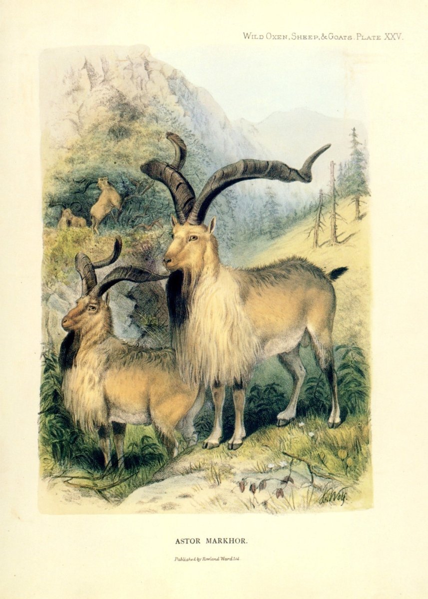 Dimensions 5088 x 7128 pixels