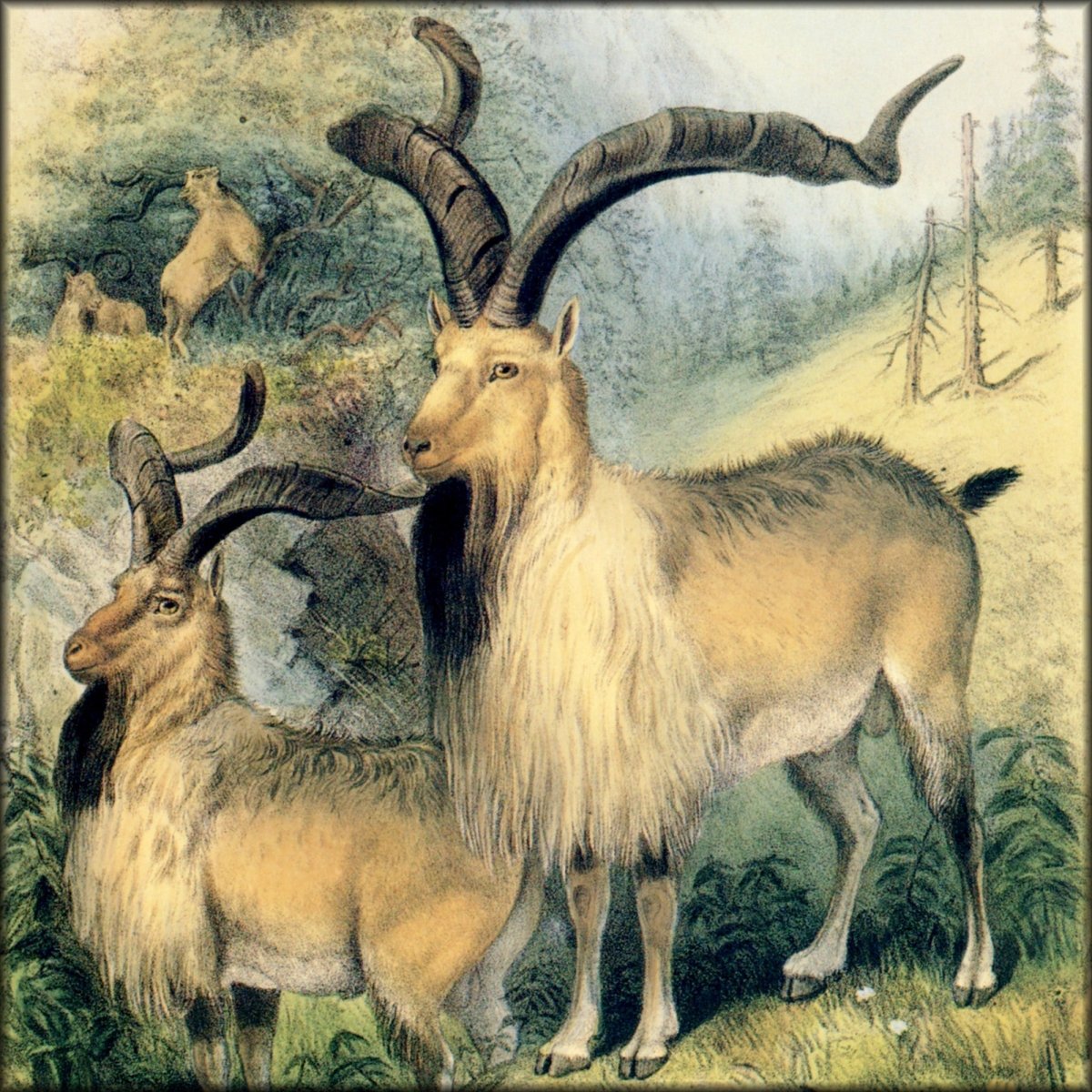 Digital Download - 1 image