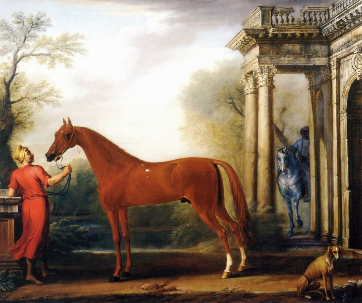 Dimensions 4590 x 3843 pixels