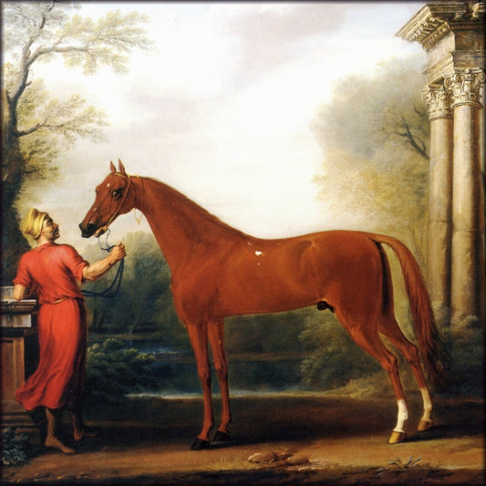 Digital Download - 1 imag