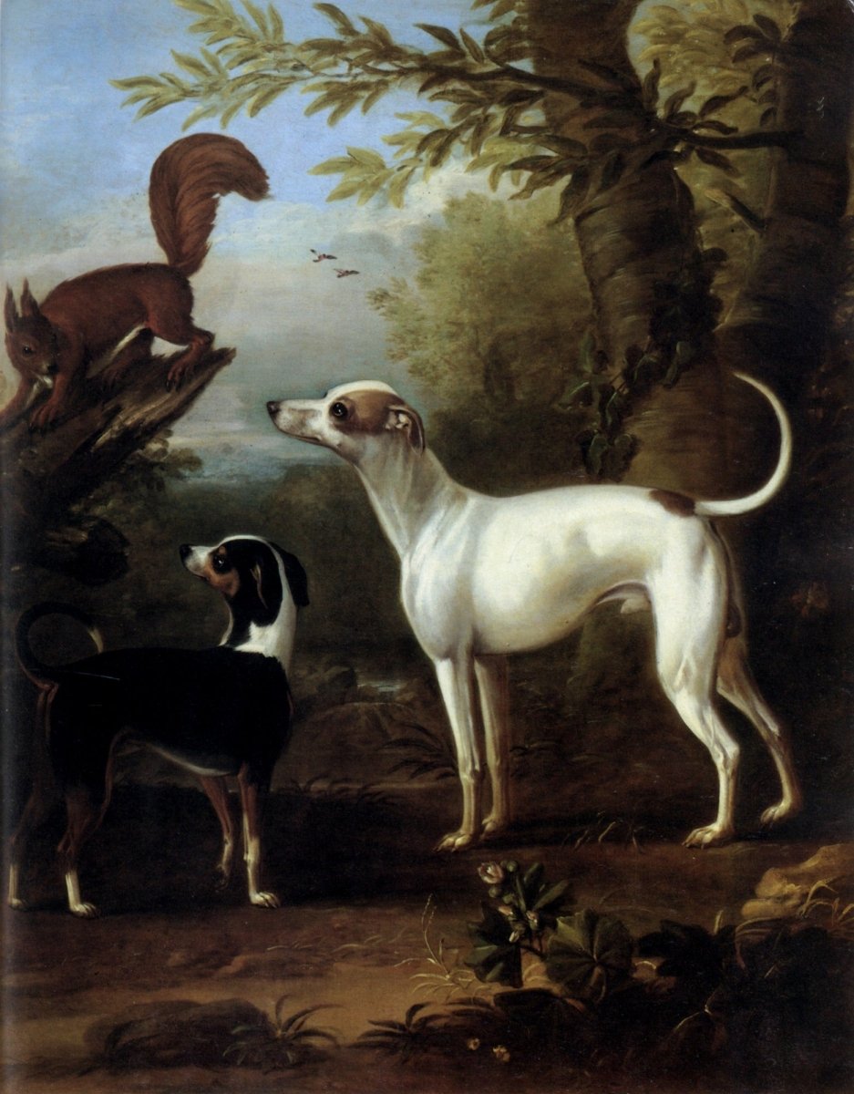 Dimensions 4872 x 6240 pixels