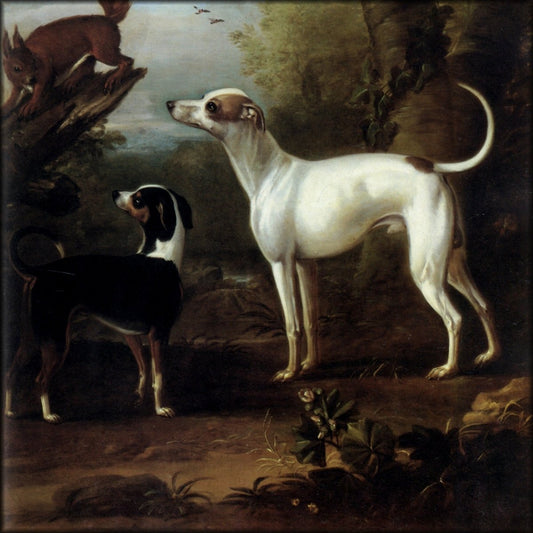 Digital Download - 1 image